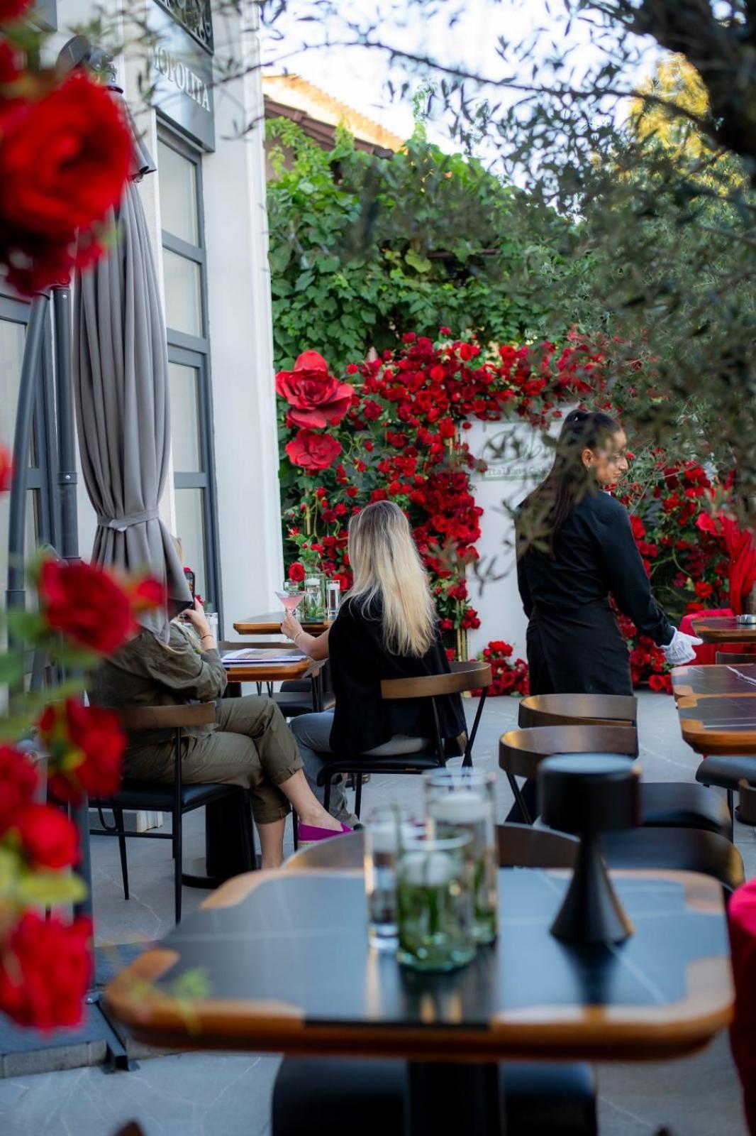 Cosmopolita Boutique Hotel Тимишоара Екстериор снимка